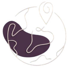 TAPI Overseas Logo